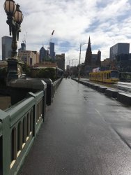 78F346A4-02CC-4506-9115-39DF23031553.jpeg 78F346A4-02CC-4506-9115-39DF23031553.jpeg