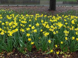 CC576F16-9315-4995-9D18-F9703C2AD7A8.jpeg CC576F16-9315-4995-9D18-F9703C2AD7A8.jpeg