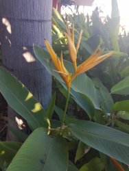 A88A27E3-99AC-4850-AB93-B7A2E406CAEF.jpeg A88A27E3-99AC-4850-AB93-B7A2E406CAEF.jpeg