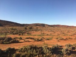 781B629C-2745-4FBE-97F9-FB42D26C0B60.jpeg 781B629C-2745-4FBE-97F9-FB42D26C0B60.jpeg