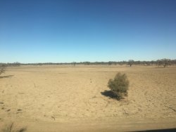 313E225E-83BE-4A68-91F8-0ECDDE1AD94E.jpeg 313E225E-83BE-4A68-91F8-0ECDDE1AD94E.jpeg