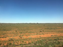 67737D1E-CF86-470B-8339-38905F580D60.jpeg 67737D1E-CF86-470B-8339-38905F580D60.jpeg