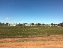 0A5B410B-40BF-431D-BAF0-0C42FFBBABE6.jpeg 0A5B410B-40BF-431D-BAF0-0C42FFBBABE6.jpeg