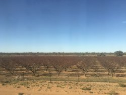 0B27DA1D-B59C-48B7-A5AA-46F110D4FB0D.jpeg 0B27DA1D-B59C-48B7-A5AA-46F110D4FB0D.jpeg