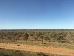 C8C6A66F-C7E6-43B4-BC13-B0134100EE40.jpeg C8C6A66F-C7E6-43B4-BC13-B0134100EE40.jpeg