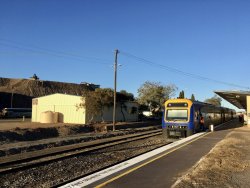 AB716765-C12F-410D-8122-63A6E224972D.jpeg AB716765-C12F-410D-8122-63A6E224972D.jpeg