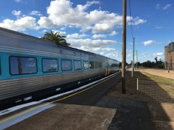 CA9802A2-DD5B-4F22-A006-3C6BA24EE959.jpeg CA9802A2-DD5B-4F22-A006-3C6BA24EE959.jpeg