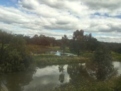 7374317F-EECB-4D52-BD90-AD09F05D21F0.jpeg 7374317F-EECB-4D52-BD90-AD09F05D21F0.jpeg