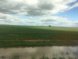 E4A3AEB4-3568-43B1-A5C3-7E1C5134DB20.jpeg E4A3AEB4-3568-43B1-A5C3-7E1C5134DB20.jpeg