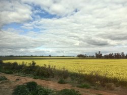 4306BC57-B65A-408D-9B62-CEFED2FA80D0.jpeg 4306BC57-B65A-408D-9B62-CEFED2FA80D0.jpeg