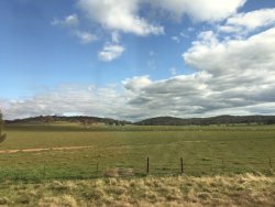 CBE20649-323A-4BB3-BFF9-48C4BB0E9BBF.jpeg CBE20649-323A-4BB3-BFF9-48C4BB0E9BBF.jpeg