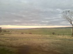 74944245-08C0-48B7-942D-D4A85B28282D.jpeg 74944245-08C0-48B7-942D-D4A85B28282D.jpeg