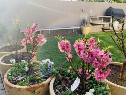 90326758-0A3F-484C-8FE0-895295F4794F.jpeg 90326758-0A3F-484C-8FE0-895295F4794F.jpeg