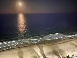 93A2658F-16EC-4873-851D-228F410841AD.jpeg 93A2658F-16EC-4873-851D-228F410841AD.jpeg