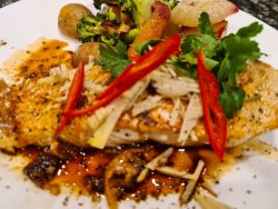 ABAB14EE-F287-4475-93AA-F784918B7178.jpeg ABAB14EE-F287-4475-93AA-F784918B7178.jpeg