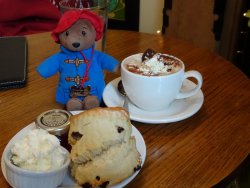 DSC00528.JPG DSC00528.JPG