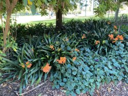 98FA77BB-63D2-40AD-BF63-6C0645DCD1E0.jpeg 98FA77BB-63D2-40AD-BF63-6C0645DCD1E0.jpeg