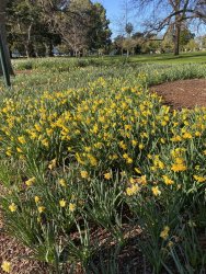 9D66035C-5A90-4300-892C-6C3A8934C032.jpeg 9D66035C-5A90-4300-892C-6C3A8934C032.jpeg