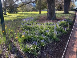 3E2469EE-2454-4D2F-AAFD-A76BE74D6A49.jpeg 3E2469EE-2454-4D2F-AAFD-A76BE74D6A49.jpeg