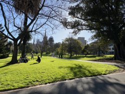 31F893FE-ED6E-4472-A919-56D09A4319EC.jpeg 31F893FE-ED6E-4472-A919-56D09A4319EC.jpeg