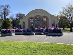 B55AD22A-2009-430B-802E-54E82C74BE8D.jpeg B55AD22A-2009-430B-802E-54E82C74BE8D.jpeg