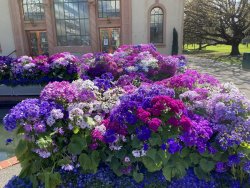 8209C6AC-E9F0-4CE2-9A70-7C211739C5D5.jpeg 8209C6AC-E9F0-4CE2-9A70-7C211739C5D5.jpeg