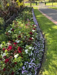 F1A072BD-87BD-4D67-B19F-48C543B02CA5.jpeg F1A072BD-87BD-4D67-B19F-48C543B02CA5.jpeg