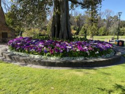 722FCCED-491C-4257-B54A-734EA977487D.jpeg 722FCCED-491C-4257-B54A-734EA977487D.jpeg