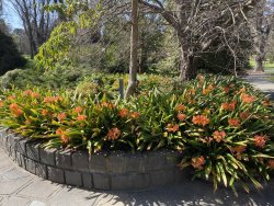 48ED18CB-67EB-4125-A5D9-EC449C5C5E44.jpeg 48ED18CB-67EB-4125-A5D9-EC449C5C5E44.jpeg