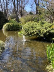 DB997068-CAFD-49AF-BF6E-48EF53E4C754.jpeg DB997068-CAFD-49AF-BF6E-48EF53E4C754.jpeg