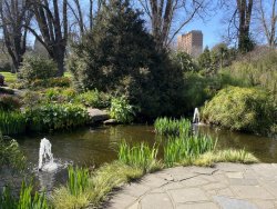 1C11310D-951D-4BFC-8786-8EF1DCB8BB21.jpeg 1C11310D-951D-4BFC-8786-8EF1DCB8BB21.jpeg