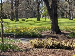 85FEDC1A-20DA-435A-8886-A61504856384.jpeg 85FEDC1A-20DA-435A-8886-A61504856384.jpeg