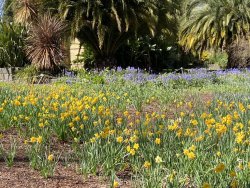 CF762C78-2998-4411-A182-E47943CD3941.jpeg CF762C78-2998-4411-A182-E47943CD3941.jpeg