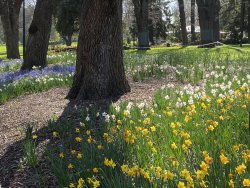 78131EB0-42F0-4611-A2AF-FD50285C39B4.jpeg 78131EB0-42F0-4611-A2AF-FD50285C39B4.jpeg