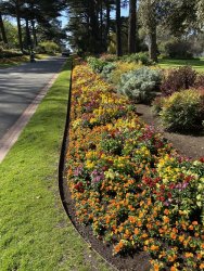 F9AAA077-A42E-4686-868C-A21994564164.jpeg F9AAA077-A42E-4686-868C-A21994564164.jpeg