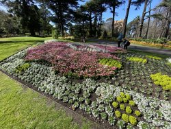 9C5CB11E-9C7E-4BBC-8A50-140A01AB44D3.jpeg 9C5CB11E-9C7E-4BBC-8A50-140A01AB44D3.jpeg