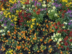 E1A31E55-700D-4E81-A565-A5E4D01C1653.jpeg E1A31E55-700D-4E81-A565-A5E4D01C1653.jpeg