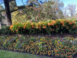 A0AB6637-EB87-4EA6-A9FD-29EE782A989A.jpeg A0AB6637-EB87-4EA6-A9FD-29EE782A989A.jpeg