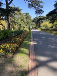 A4A6F259-D0D3-4C2E-9E8C-A0D62A7AB19C.jpeg A4A6F259-D0D3-4C2E-9E8C-A0D62A7AB19C.jpeg