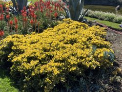 D41CD693-9BA0-4ABD-AF75-E996FF0530A0.jpeg D41CD693-9BA0-4ABD-AF75-E996FF0530A0.jpeg