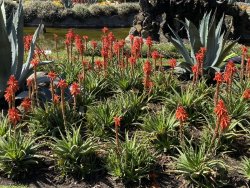 A837C735-1A73-4870-AA33-5693D302AEEB.jpeg A837C735-1A73-4870-AA33-5693D302AEEB.jpeg