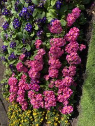 B219505B-4E56-4C54-990B-58560A073EEE.jpeg B219505B-4E56-4C54-990B-58560A073EEE.jpeg