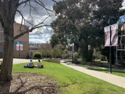 D7BD9F8D-8641-4AD8-B437-1544E4114CFB.jpeg D7BD9F8D-8641-4AD8-B437-1544E4114CFB.jpeg