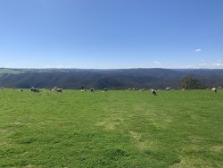 4275C65B-2A47-45D3-90ED-D0B85870615D.jpeg 4275C65B-2A47-45D3-90ED-D0B85870615D.jpeg