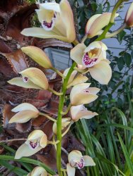 IMG_20200916_162800.jpg IMG_20200916_162800.jpg