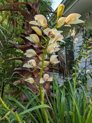 IMG_20200916_162753.jpg IMG_20200916_162753.jpg