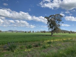 CBC51454-AB9E-4314-BFF8-8DB5E7CD3875.jpeg CBC51454-AB9E-4314-BFF8-8DB5E7CD3875.jpeg