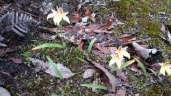 20200916_091940.jpg 20200916_091940.jpg