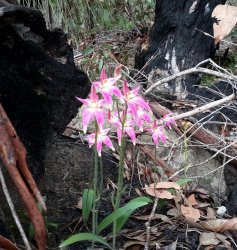 20200916_091536-1.jpg 20200916_091536-1.jpg