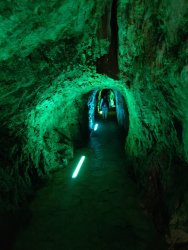 IMG_20200917_125645.jpg IMG_20200917_125645.jpg